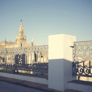 Vistas de la Catedral de Sevilla desde la terraza